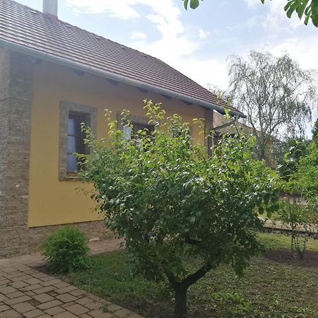Duzzogo Vendeghaz Agard Villa Gárdony Exterior photo