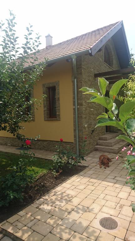 Duzzogo Vendeghaz Agard Villa Gárdony Exterior photo