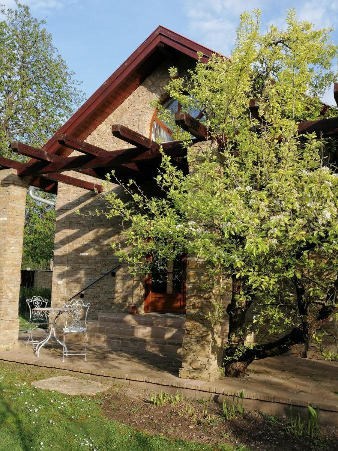 Duzzogo Vendeghaz Agard Villa Gárdony Exterior photo